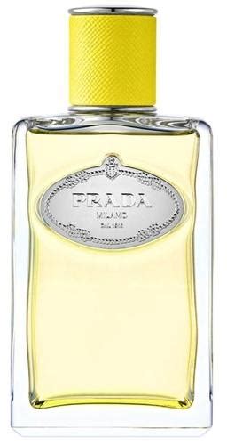 infusion d'ylang prada avis